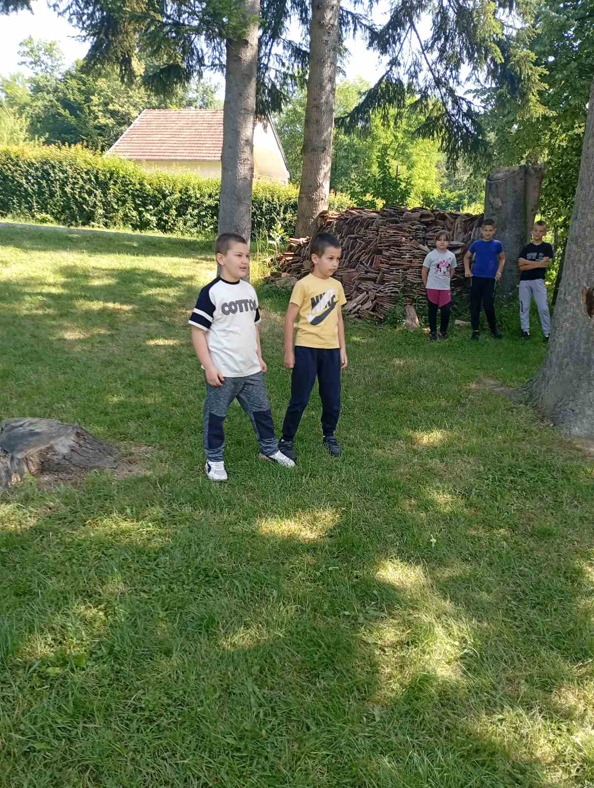 zavrsnadb