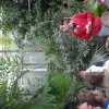 20190517_095203