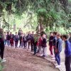 img-0a0993fb81f01ab1095cafa95ba0f6dd-v