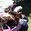 img-0e4f41b6bfc81ce2cec6ccefbf6607a6-v