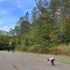 img-0fb7c685b134131a49ded4c5f9b67ce4-v