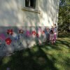 img-14cc442dcd3fbb571d41a156b38f1acf-v