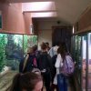 img-1b7cb091375309180d6fe1e96b887d35-v