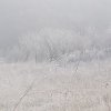 img-2632e104a3042db83166f3020e4d6f02-v