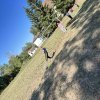 img-c9ca0137e2d1121c3f621dc075f18d66-v