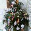 img-d64fae08cb80d277adc3cf4de1312618-v