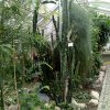 img_20190517_100501