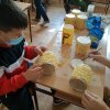 img_20201006_122545301__exported_7012401527407373426