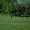 sam_1780