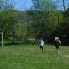 sam_1782